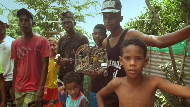 Salt Cathedral - No Love