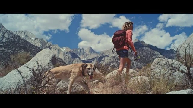 All Trails - Happy Wanderings