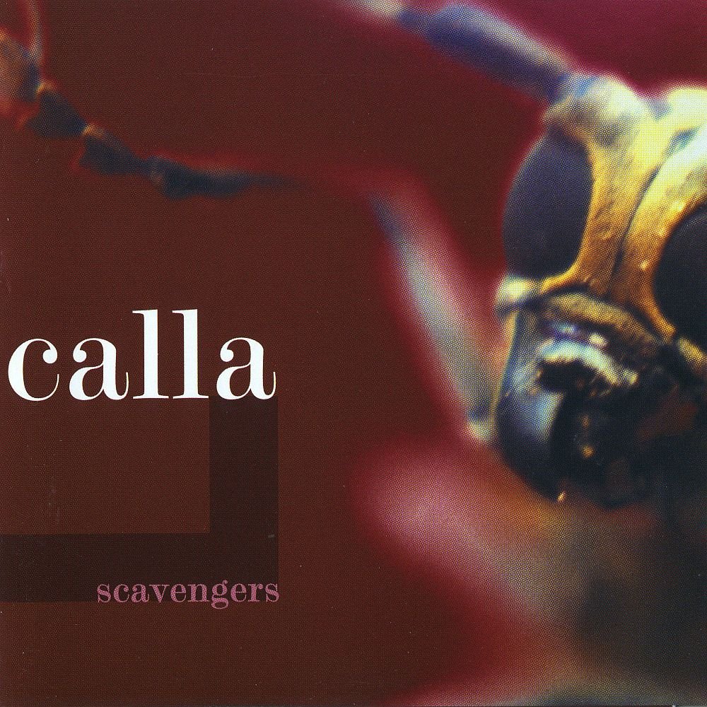 calla-scavengers-2001.jpg