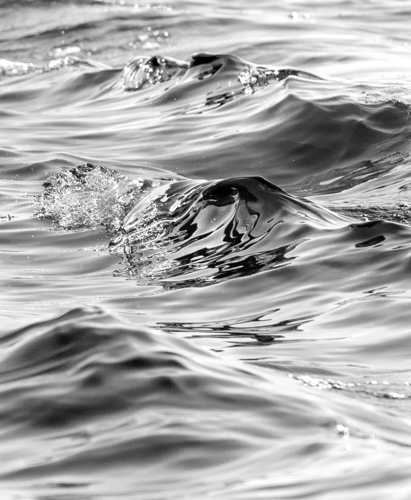 20251004_Wave_DYE1472e Wb BnW.jpg