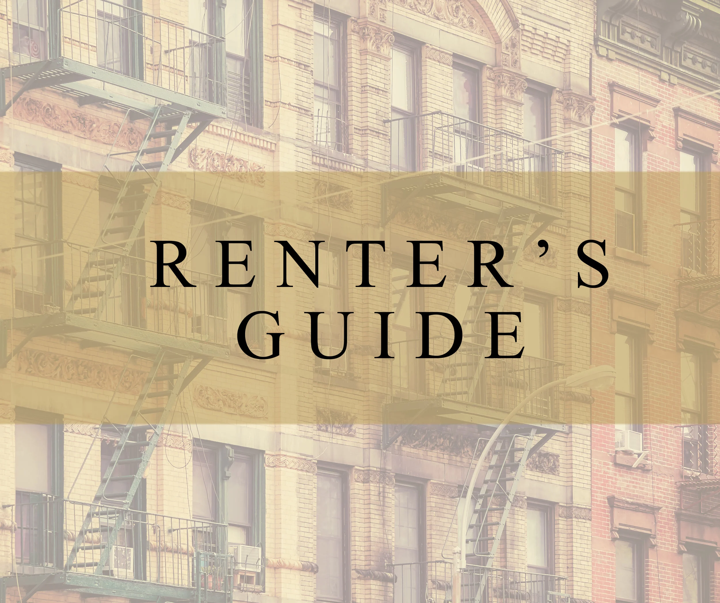 RENTER.jpg