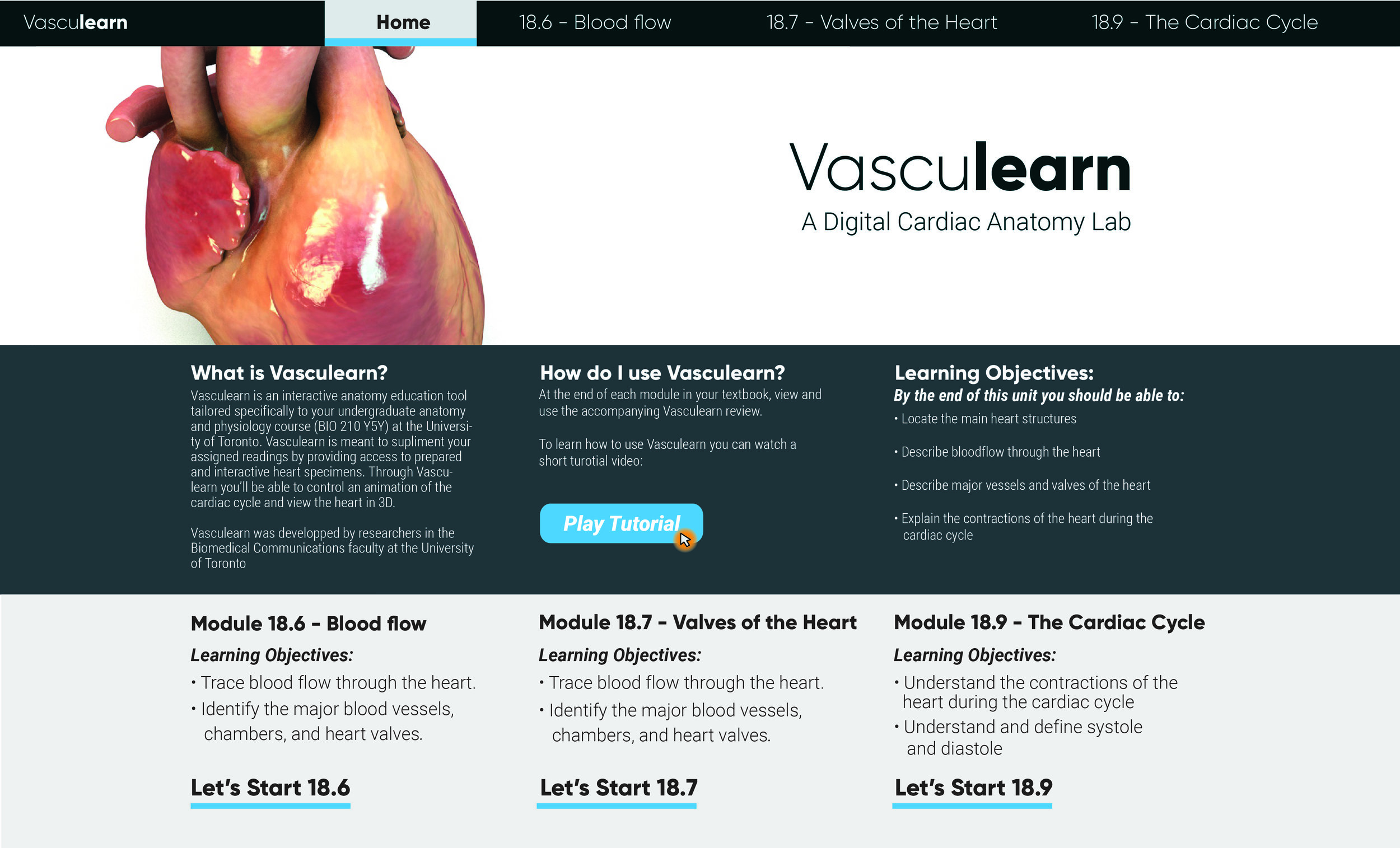 VasculearnLandingPage-01.jpg