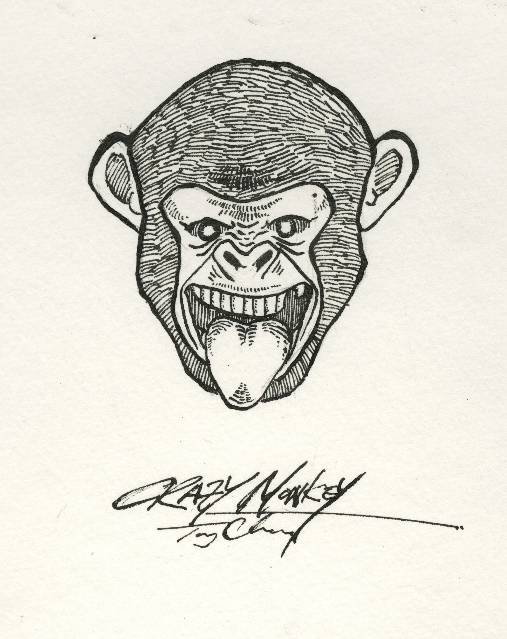 Crazy Monkey.jpeg