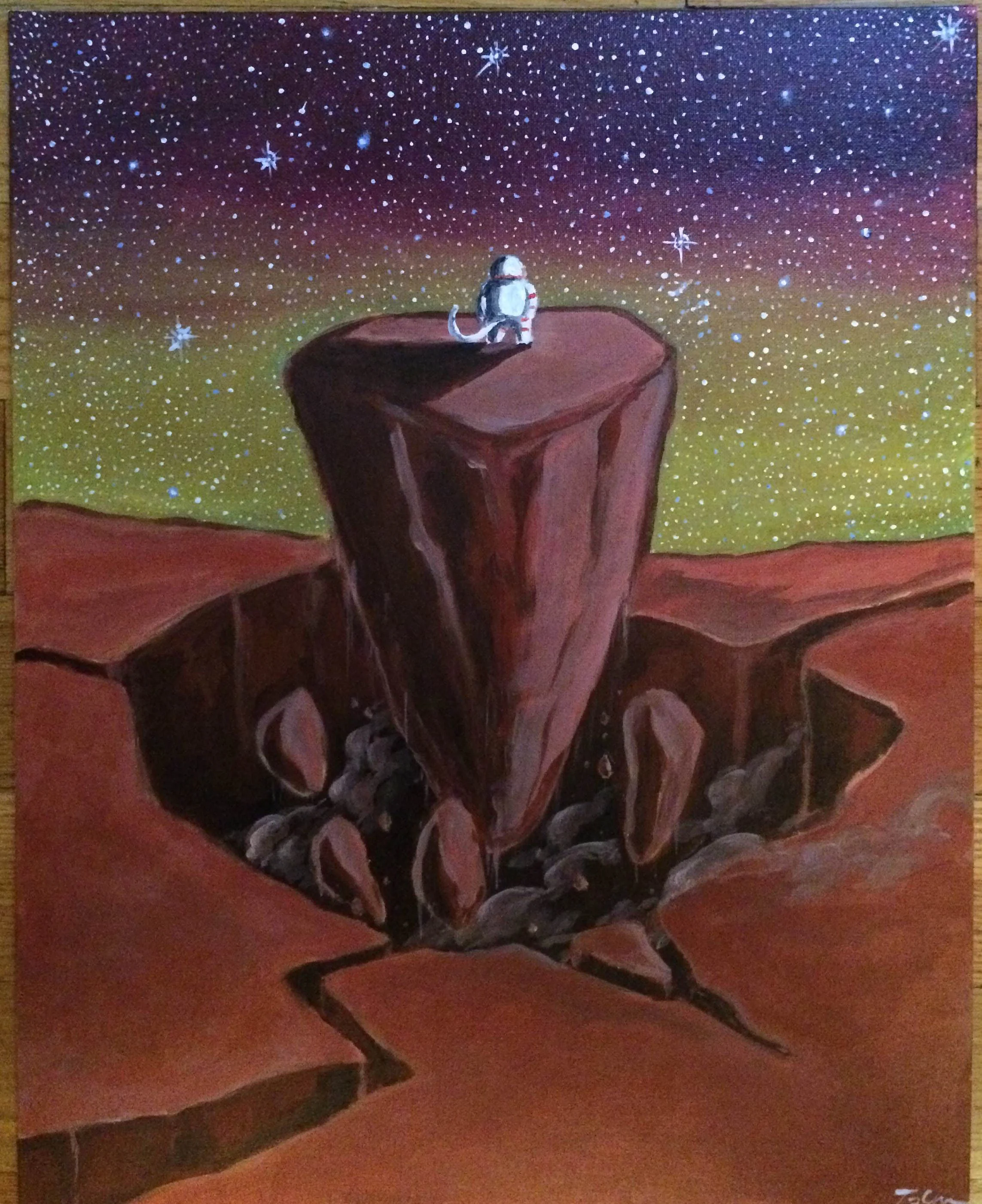 Starry Gaze Ascend.JPG