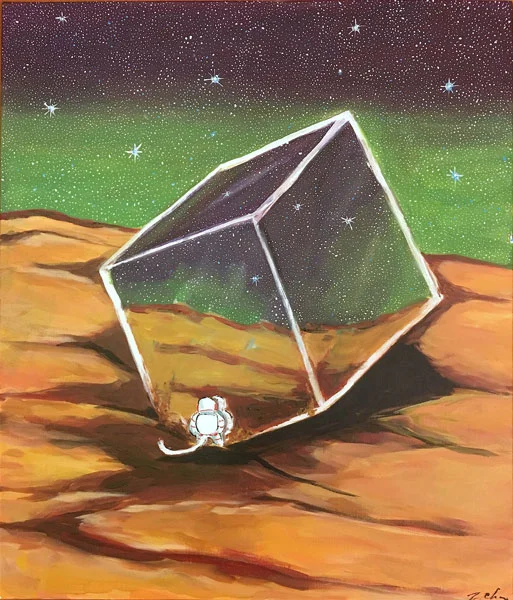 Starry-Gaze-Reflection.jpg