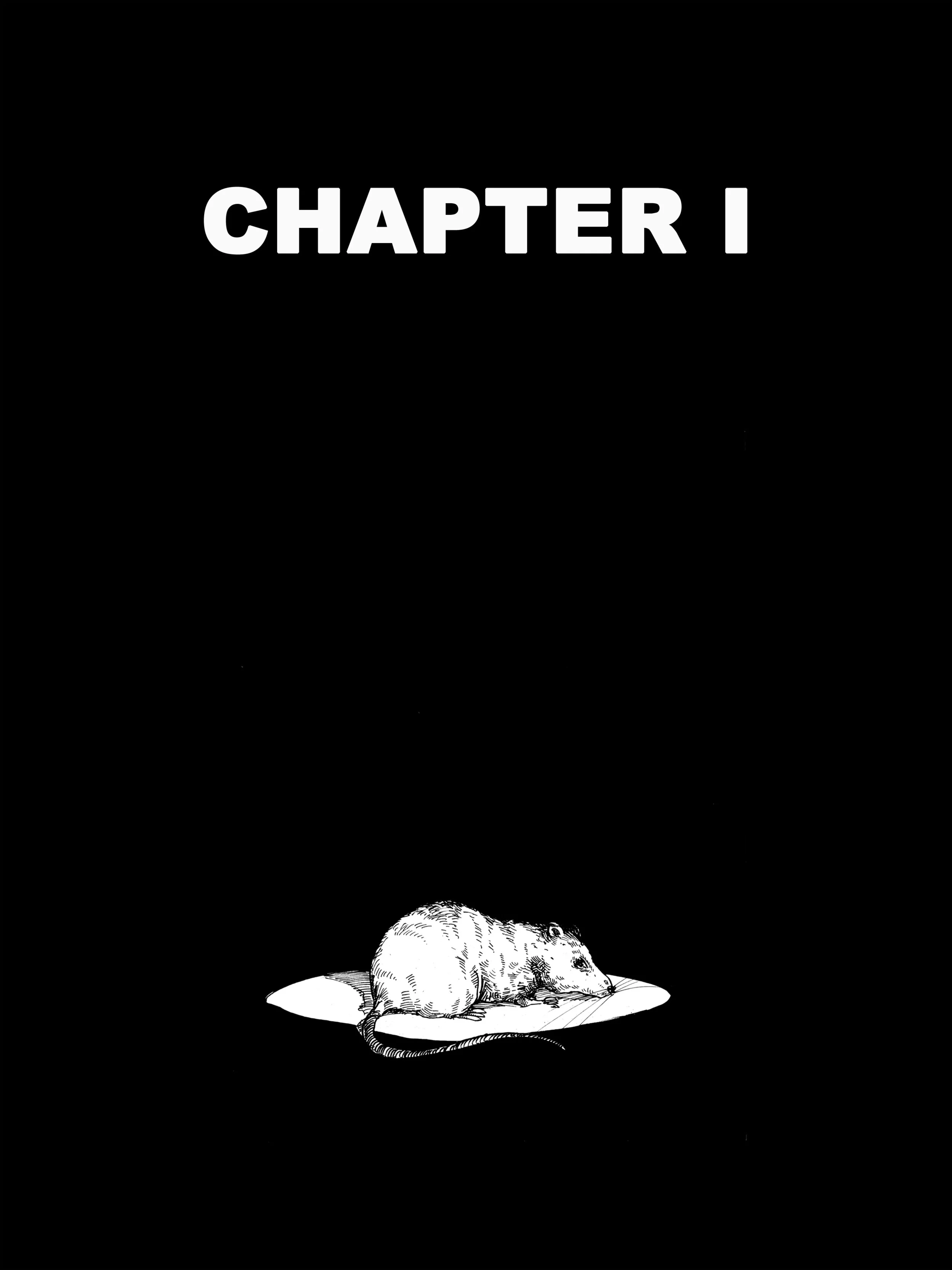ratman cover.jpg