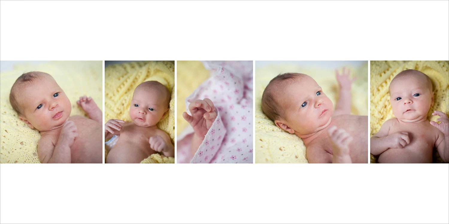 sarah_bork_infant_portraits-2.jpg