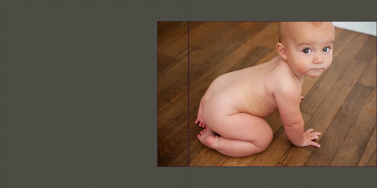 sarah_bork_family_portraits-7.jpg