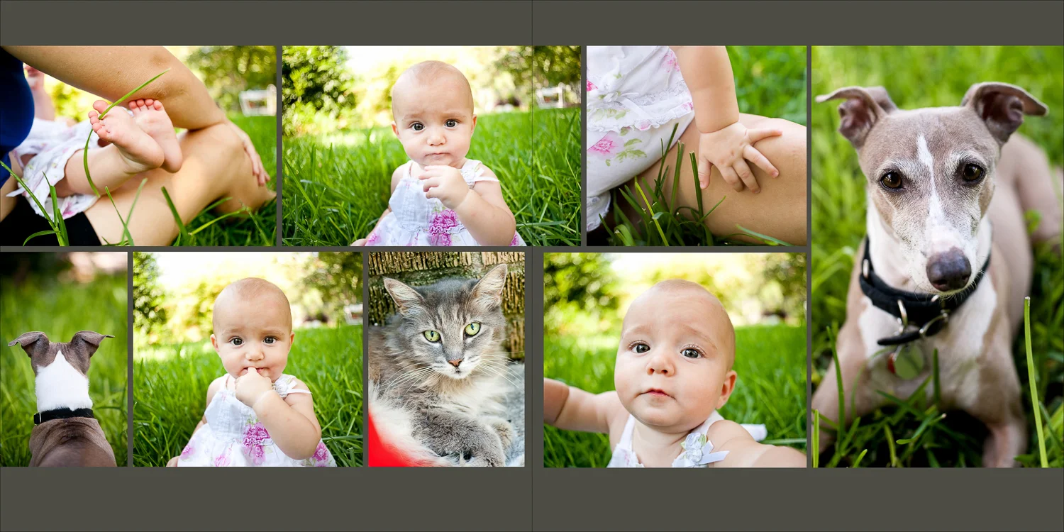 sarah_bork_family_portraits-10.jpg