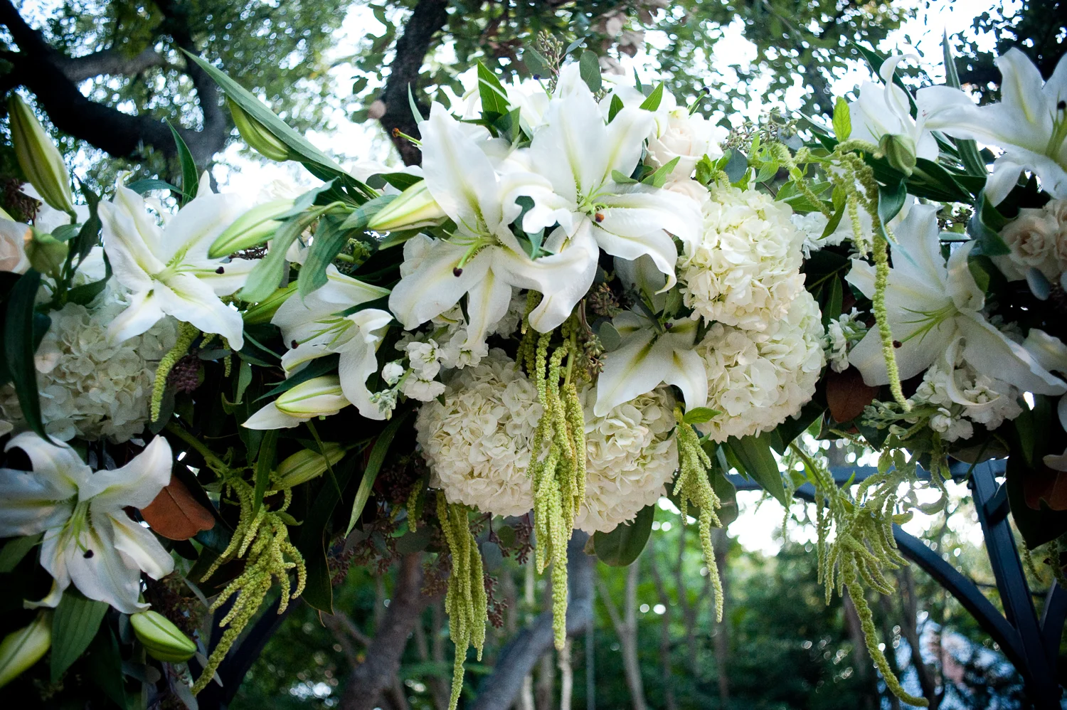 sarah_bork_hamilton_wedding_rosaroby-38.jpg