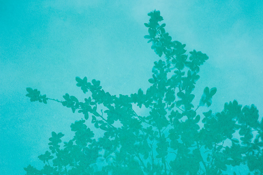 INDEXPAGIMAGEwithmeta-17.jpg