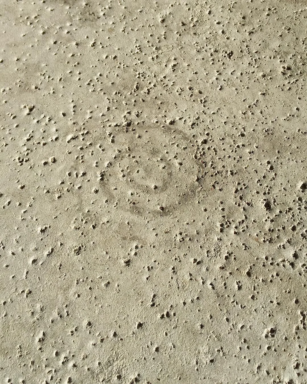 2018-10-13 20.06.06 1889671062540938490_2261166095.jpg