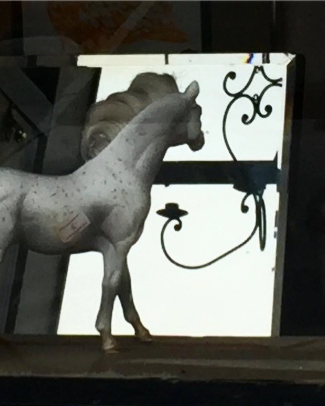 2018-06-24 18.57.14 1809186296025092631_2261166095.jpg