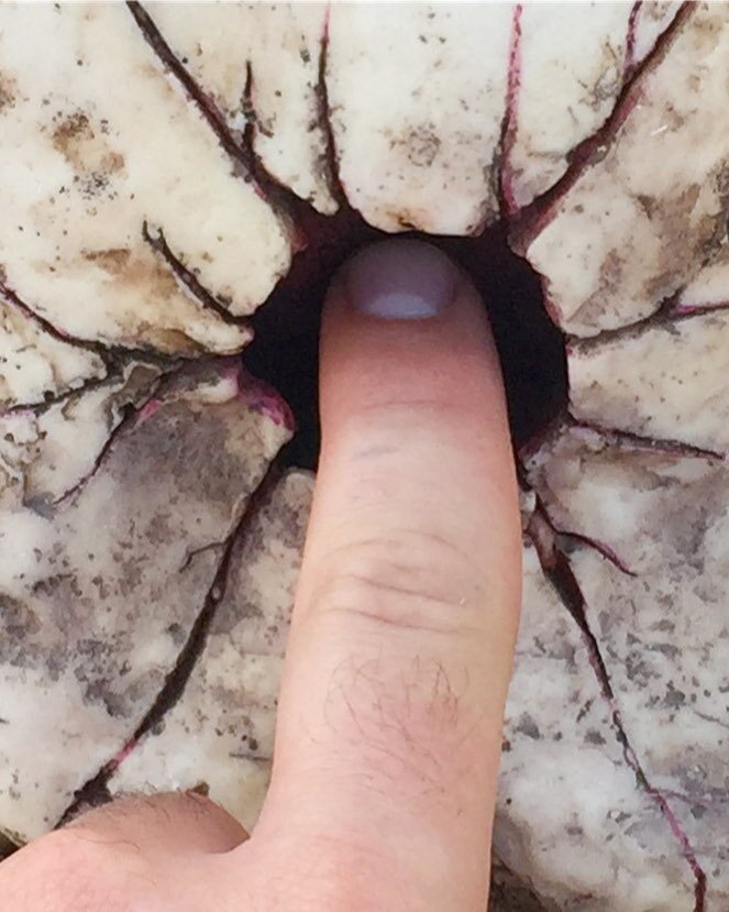 2018-10-23 23.20.37 1897016723615604970_2261166095.jpg