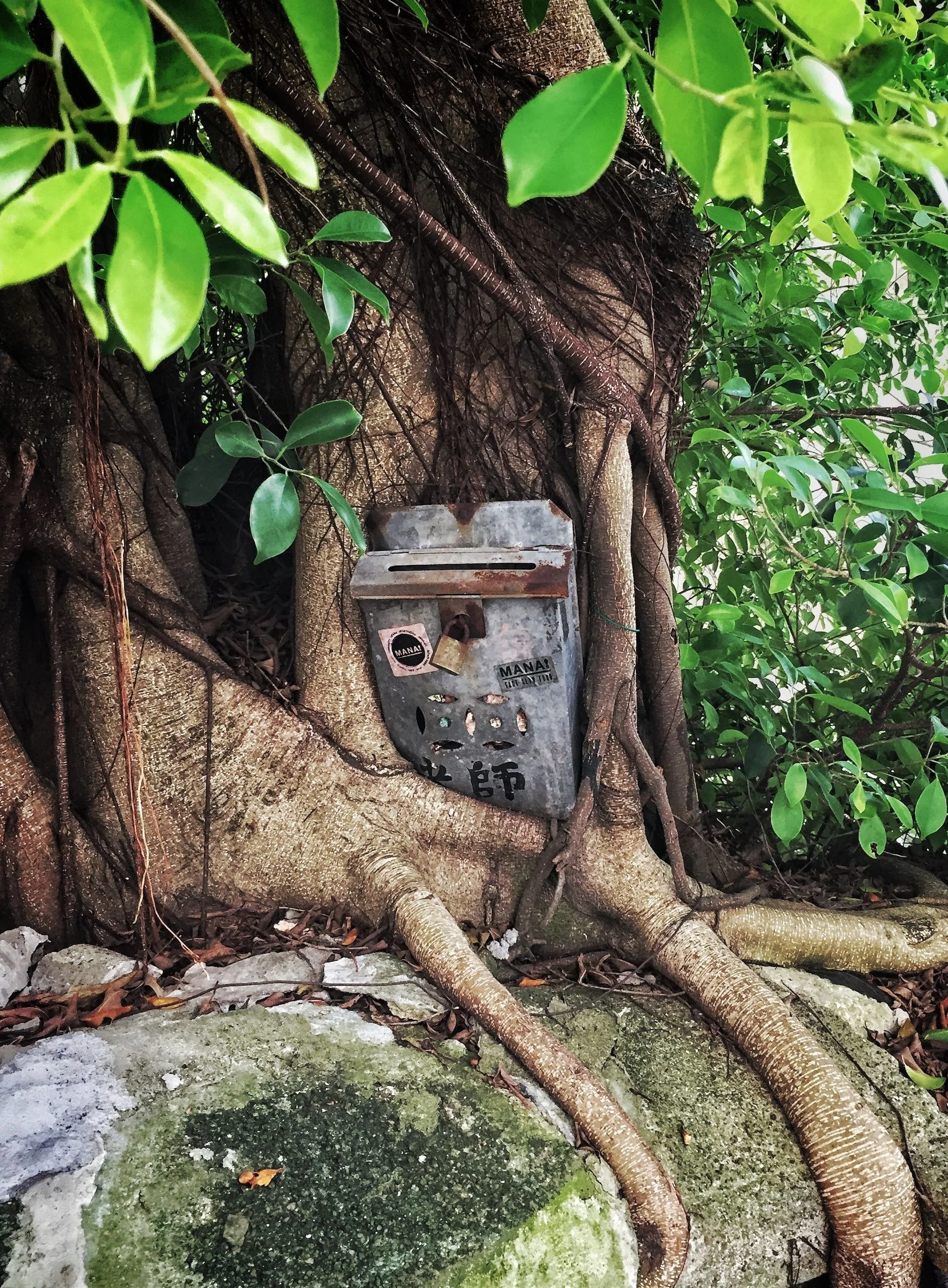 Mail Out, Sheung Wan