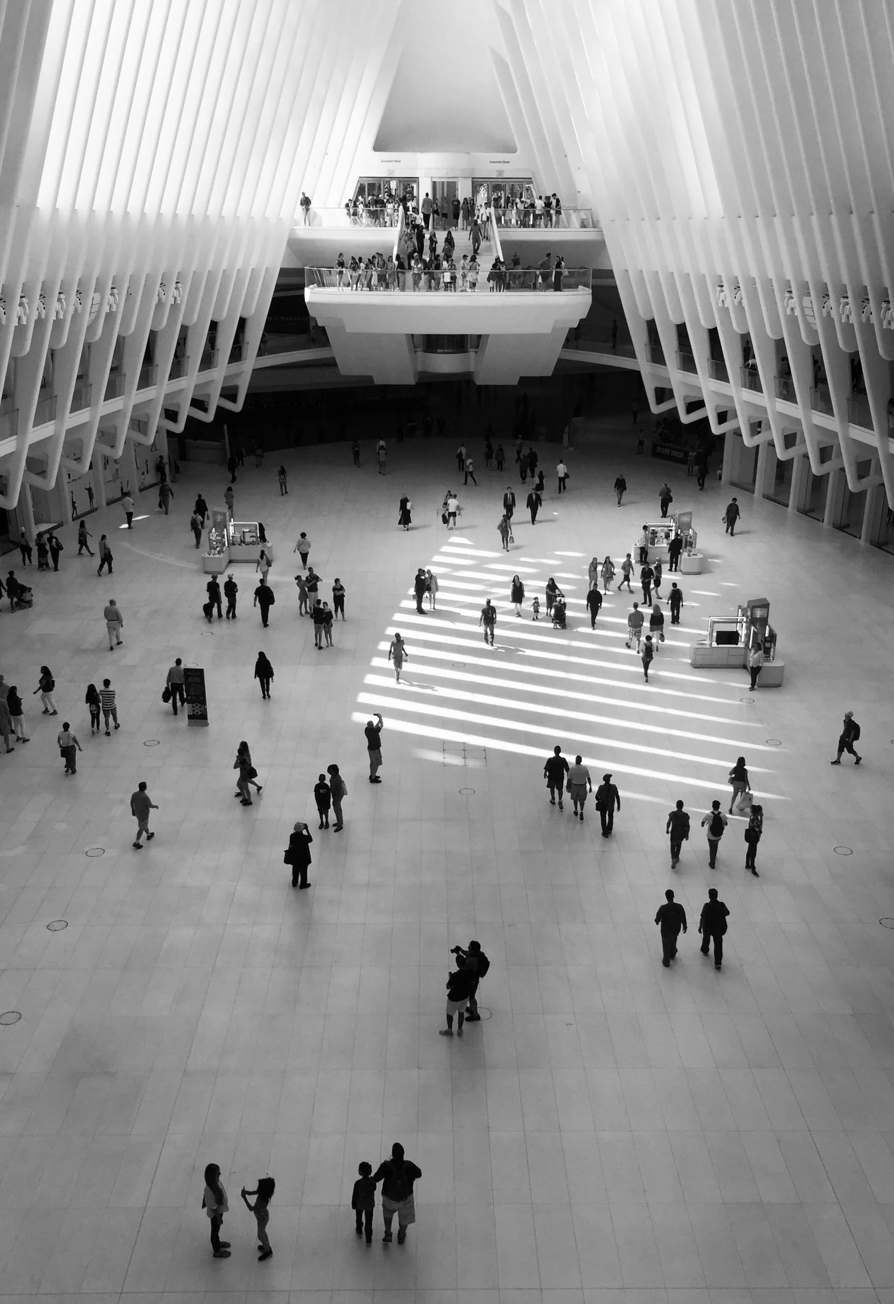 Metropolis