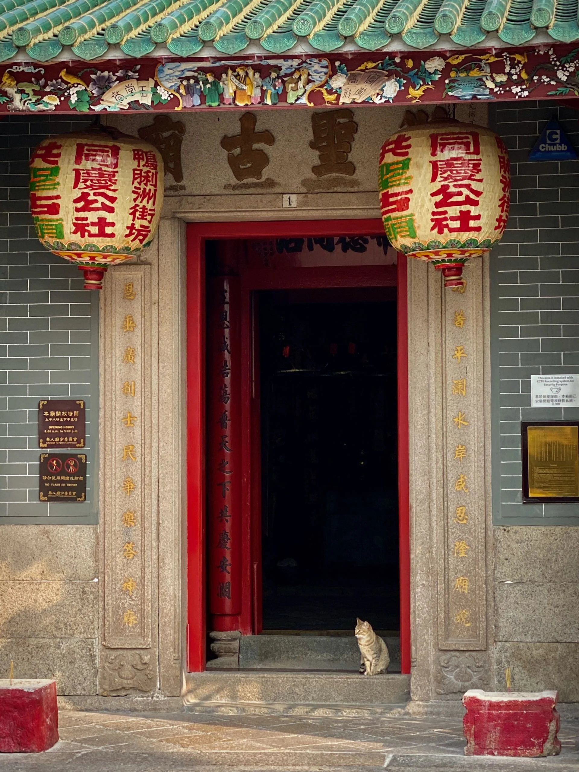 Temple Cat, Ap Lei Chau