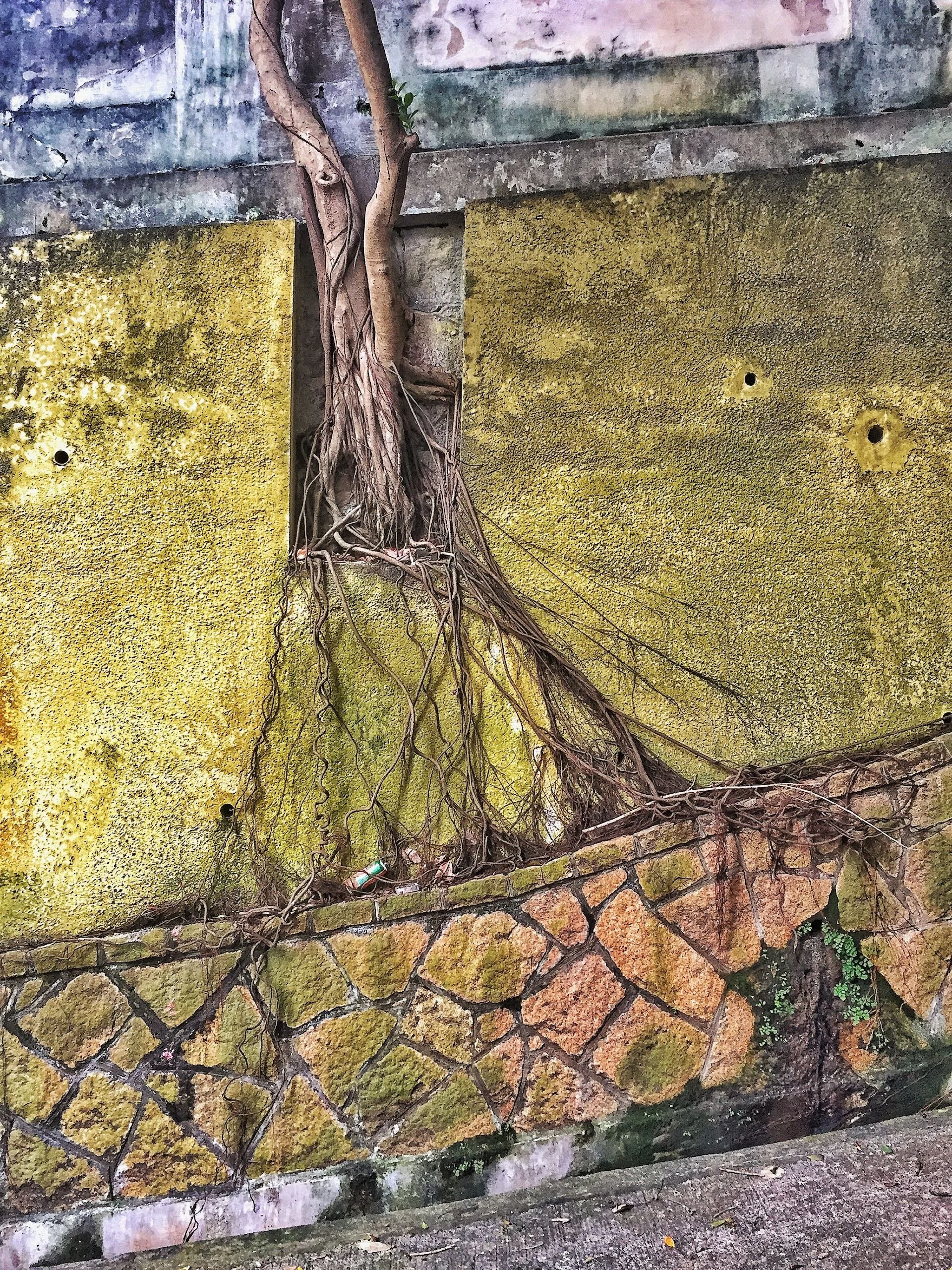 Wall Crawler