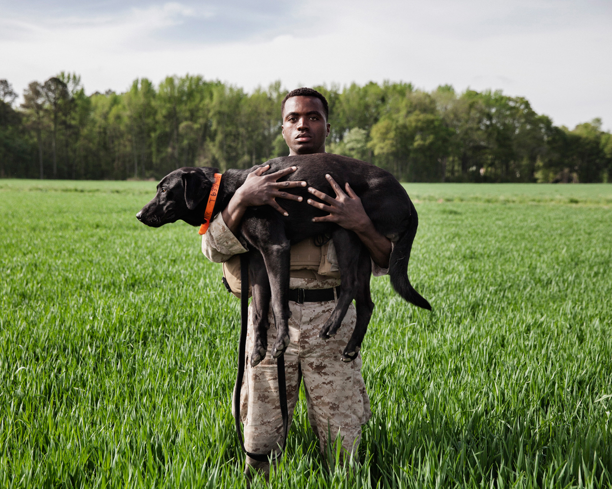  “The Dogs of War”&nbsp;for National Geographic Magazine 