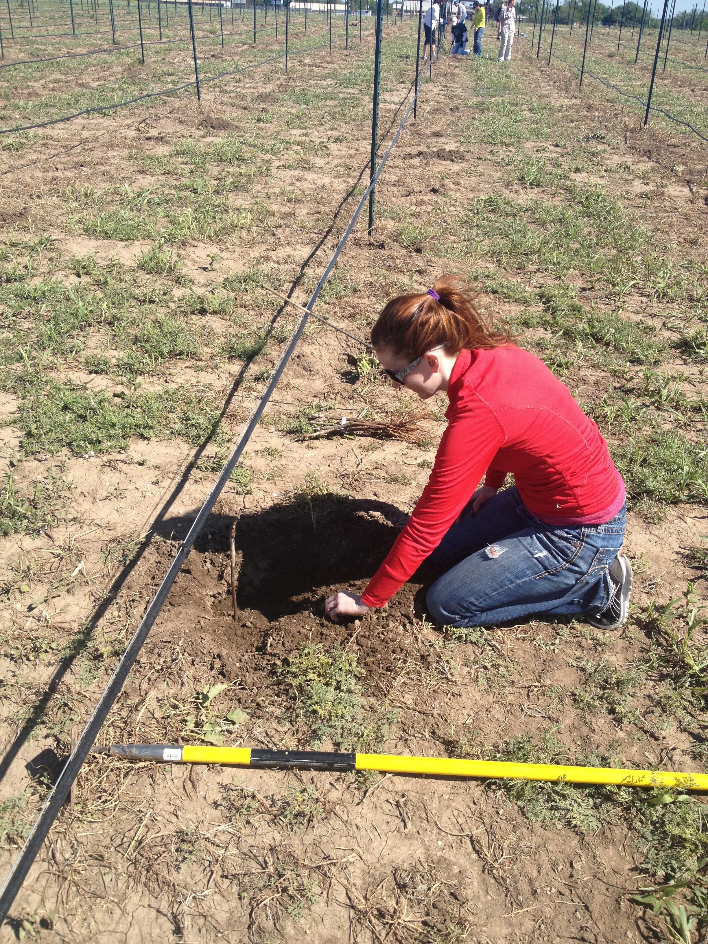 Miranda getting her hands dirty