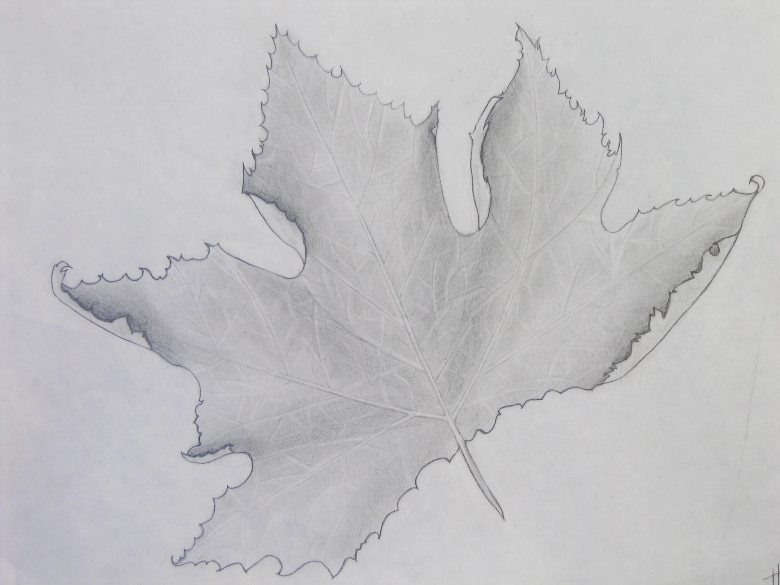  The following images are from students I have had over the last 15 years.&nbsp; As an educator, I pride myself in my ability to inspire children to develop and progress as young artists. 