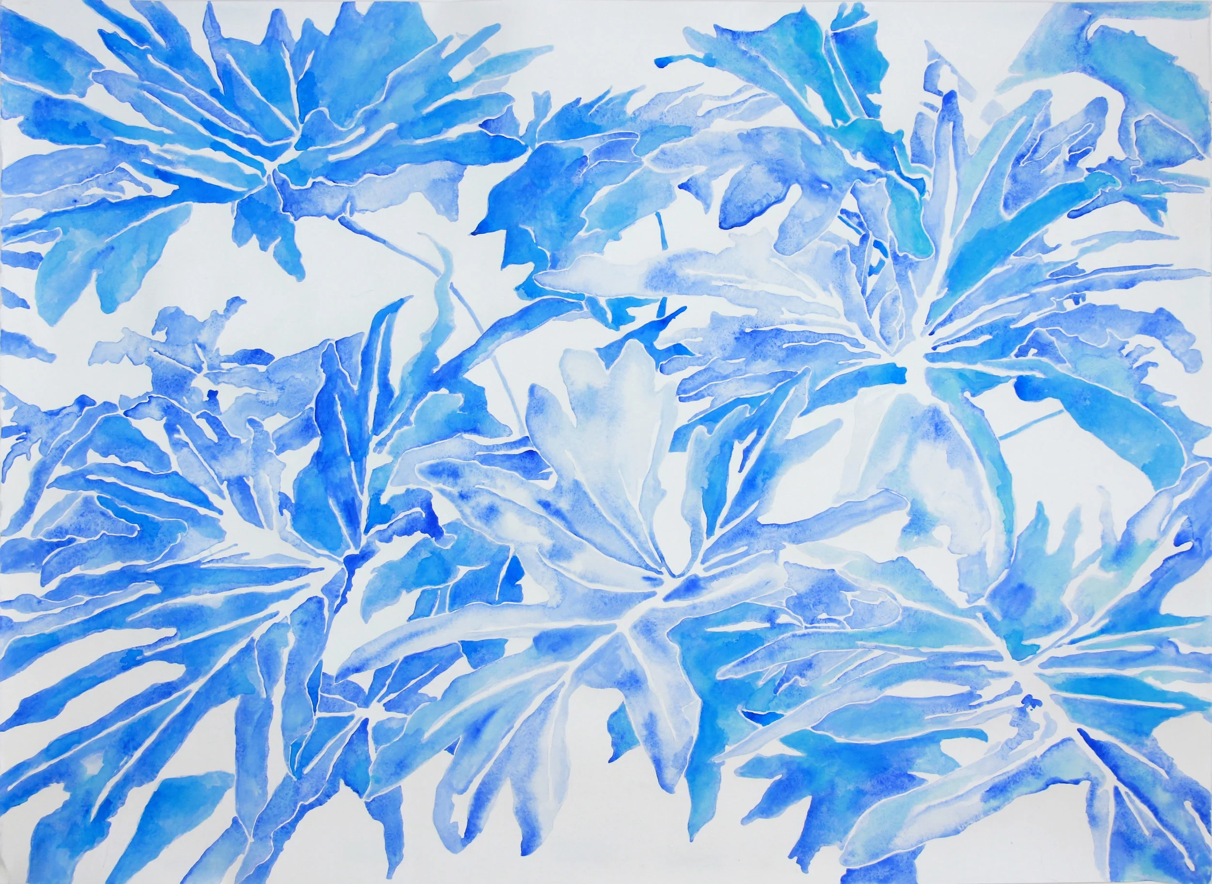 untitled (philodendron in blues II)