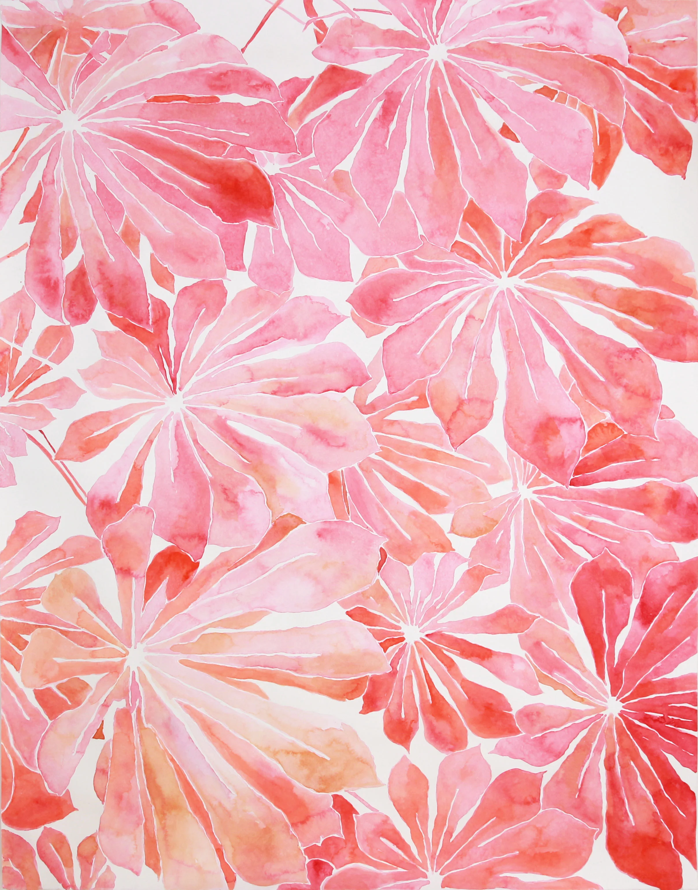 untitled (schefflera in reds)