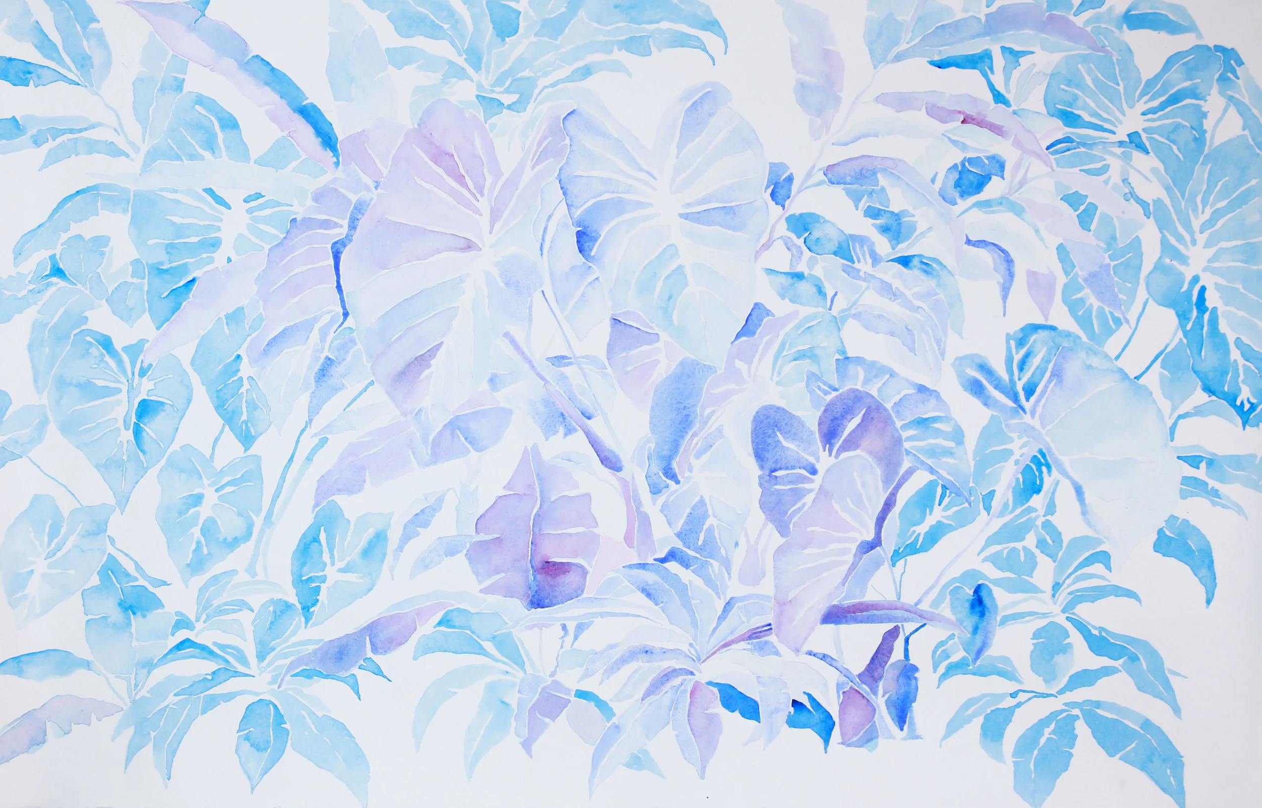 untitled, (philodendron)