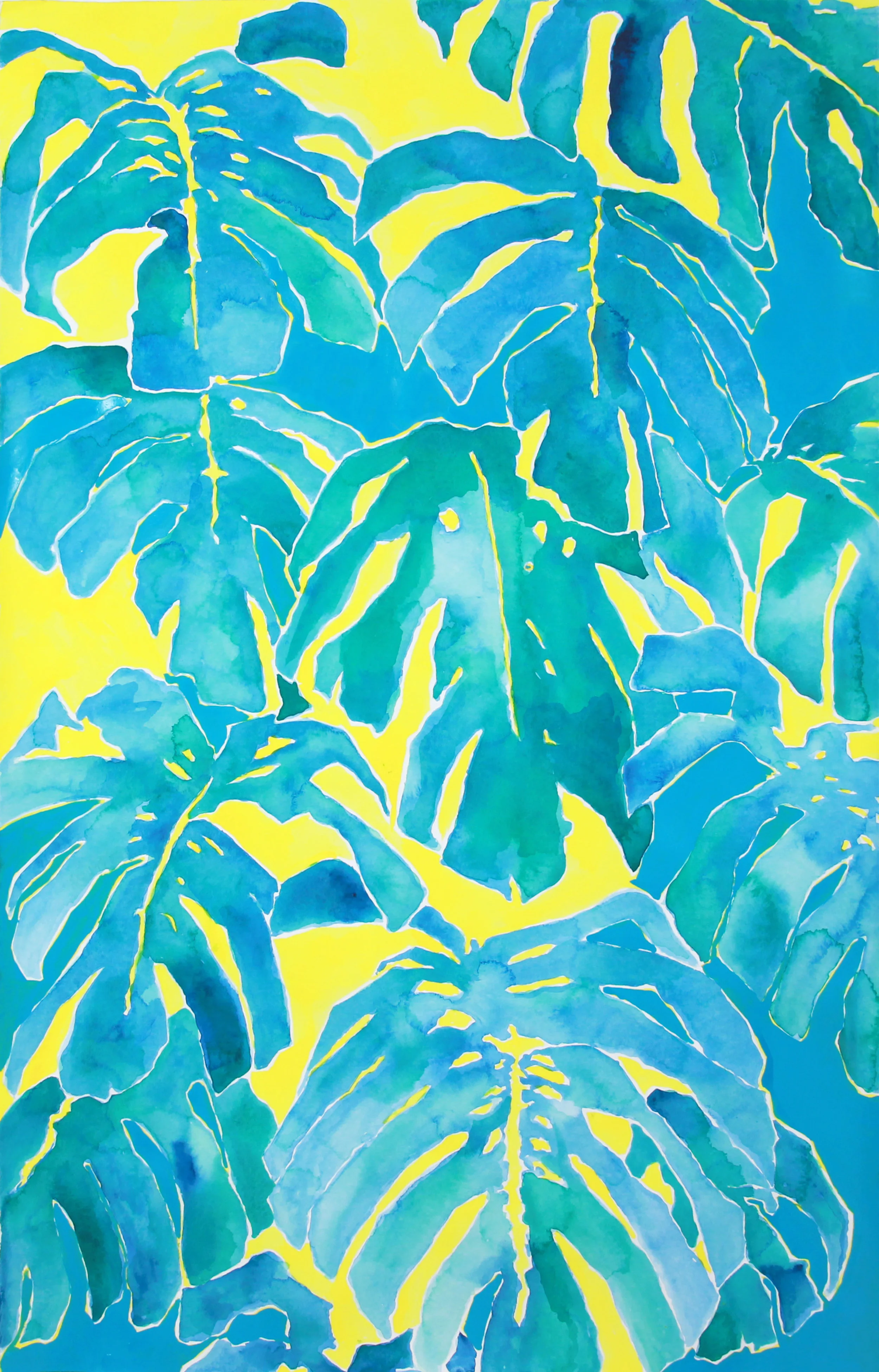philodendron monstera II