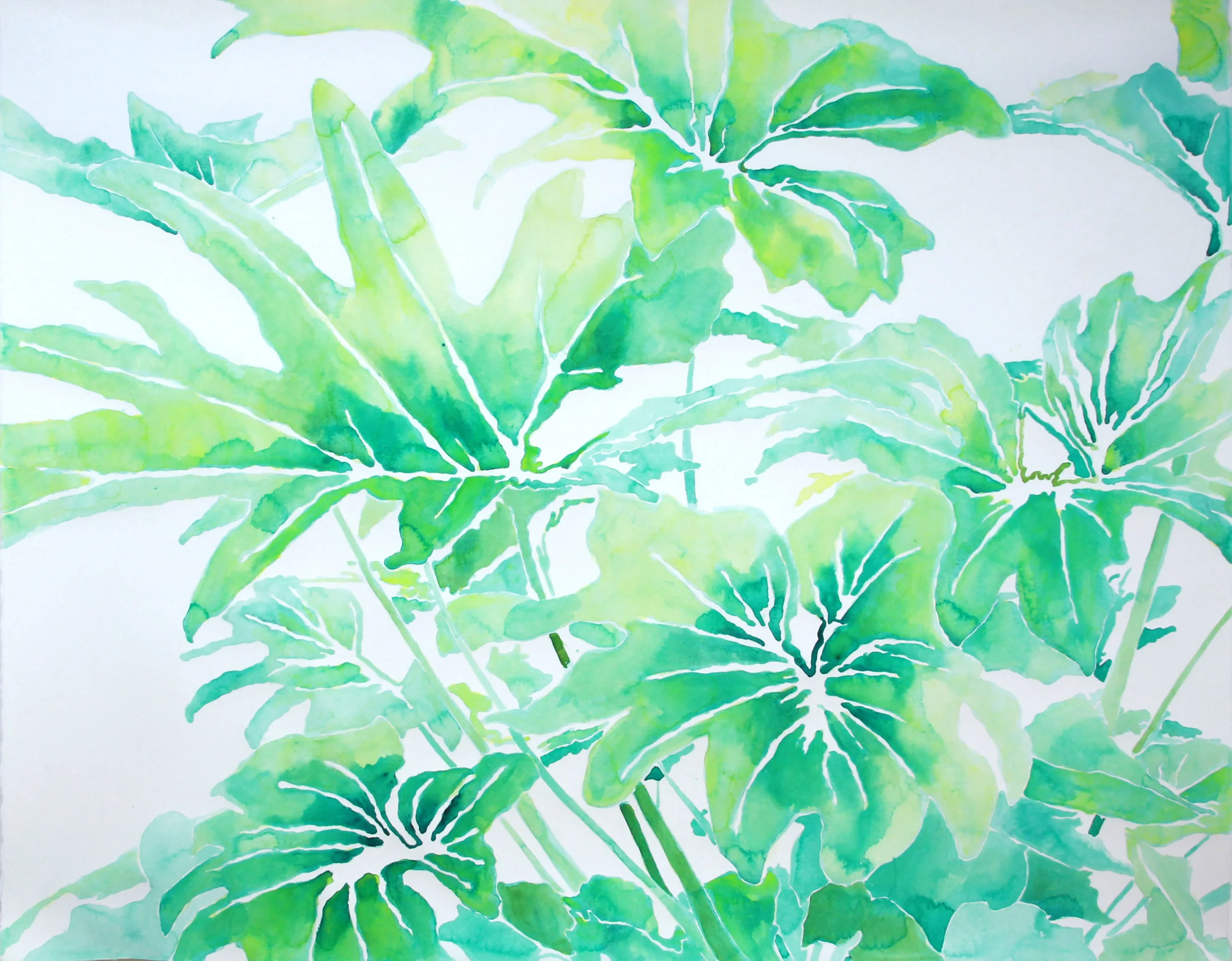 untitled (philodendron in greens)