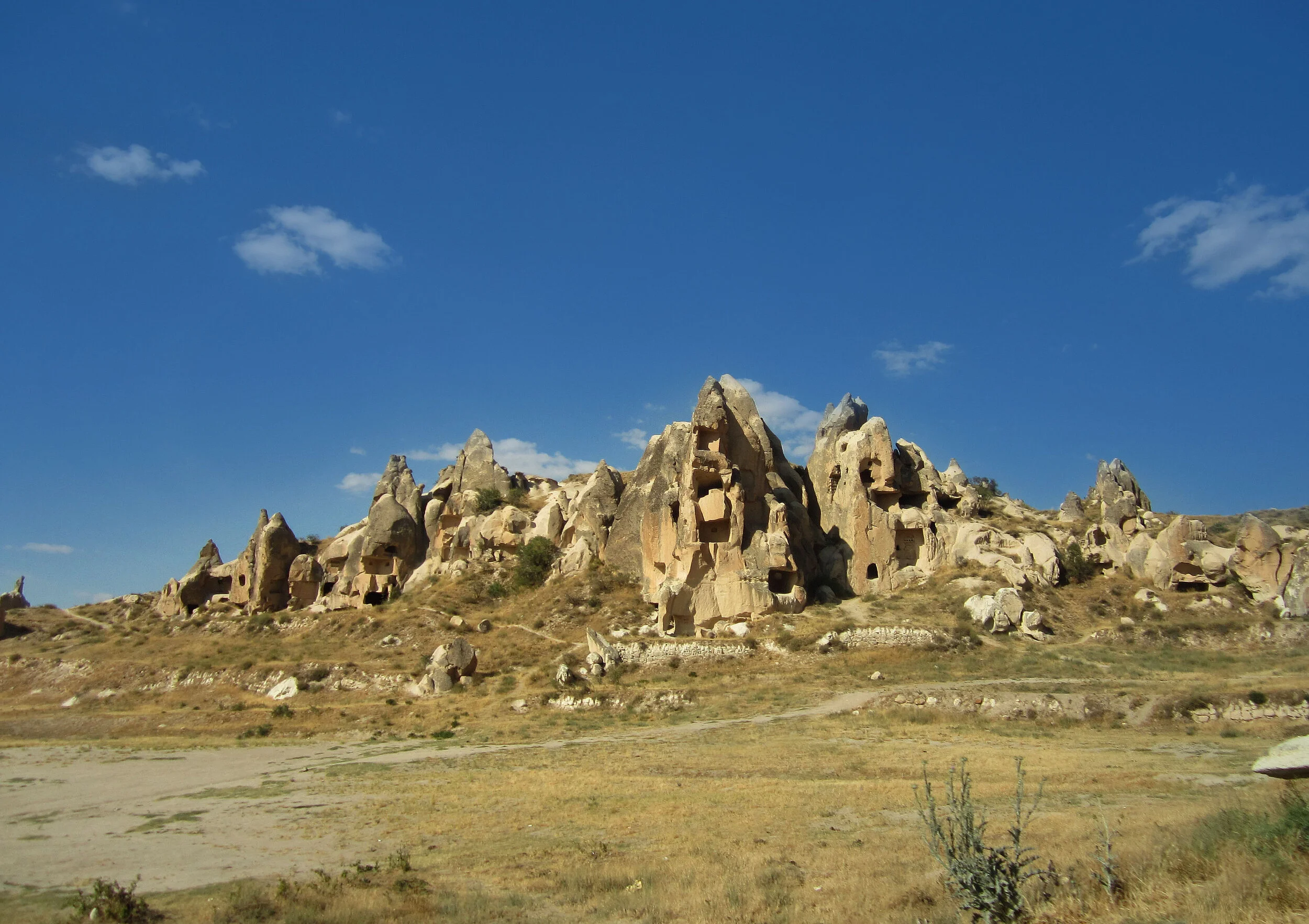 IMG_8497.jpg