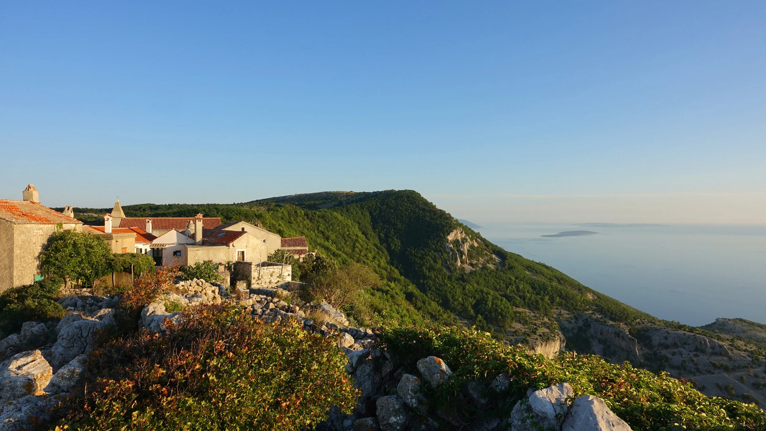 DSC09088.jpg