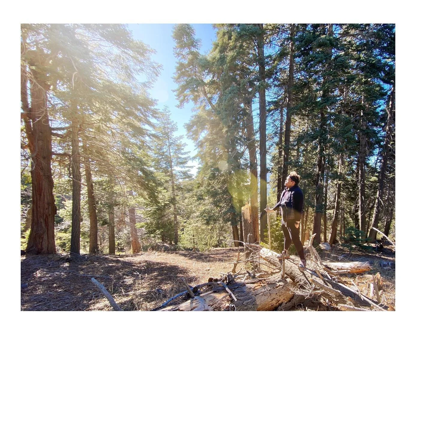 U N W A V E R I N G
🎵Hope shines brightest in the dark🎵
- -
- -
#bachelor #stagparty #lakearrowhead #bachelorparty #nature #trees #sky #mountain #trail #hike #bros #friends #pals #workout #fitness #asian #asianboy #instagood #photography #instaphot