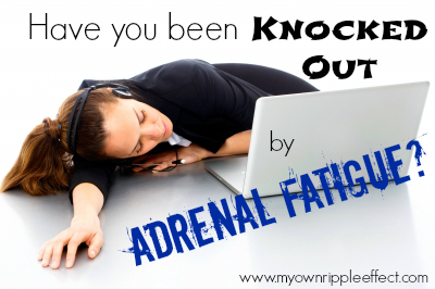 Have-you-been-Knocked-Out-by-Adrenal-Fatigue.png