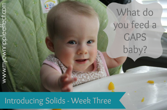 What-do-you-feed-a-GAPS-baby-Introducing-Solids-Week-Three.png