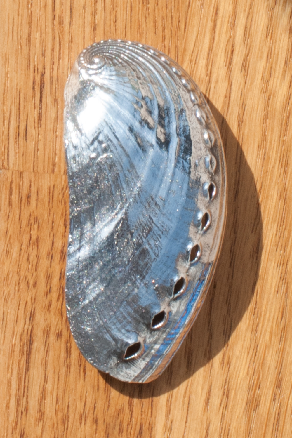 Burnt out highlights