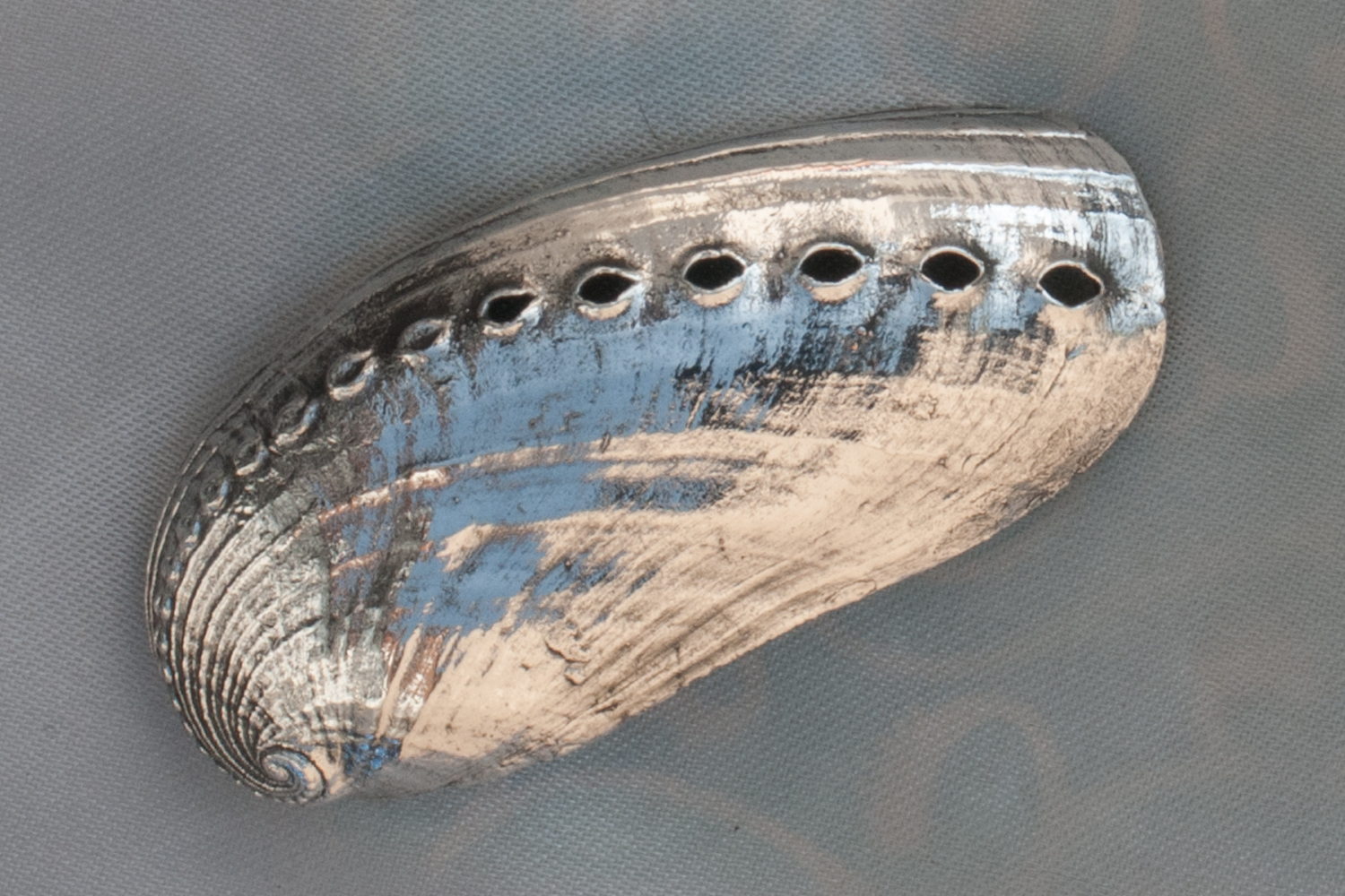 Diffused sunlight brings out textures gently without burning out detail