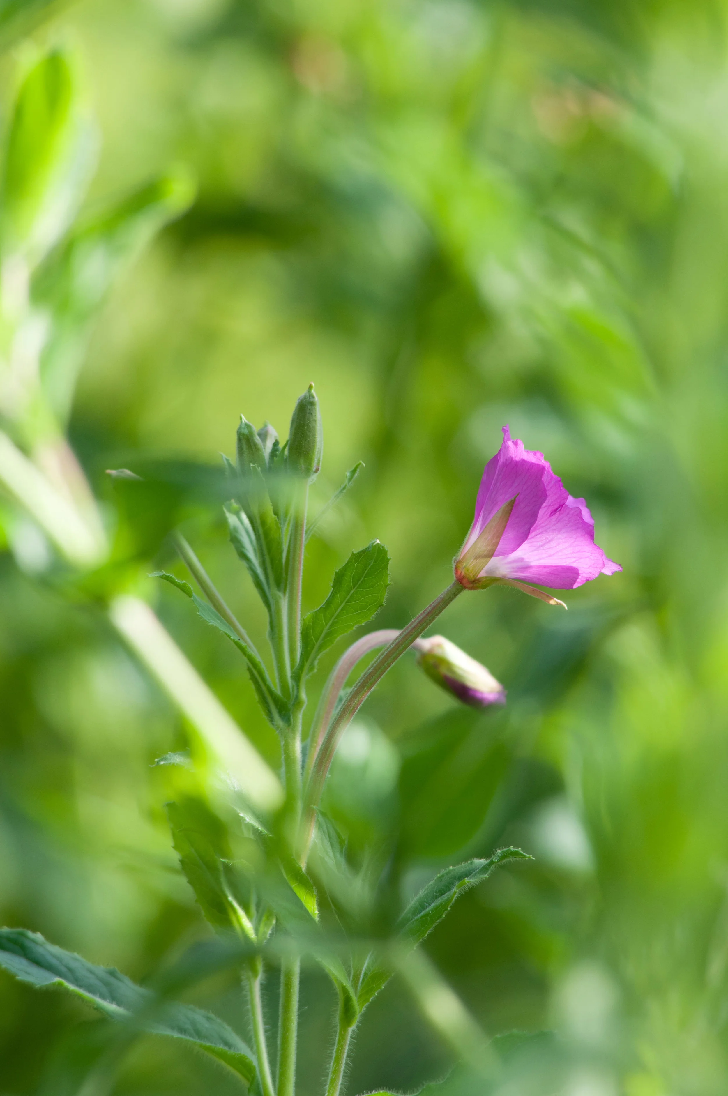 160/Sec - Super Shutter Speed