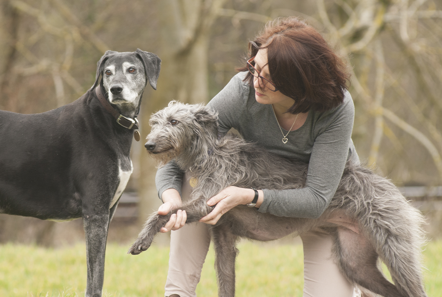 Mandy Fischer Canine Osteopath with lurcher.jpg