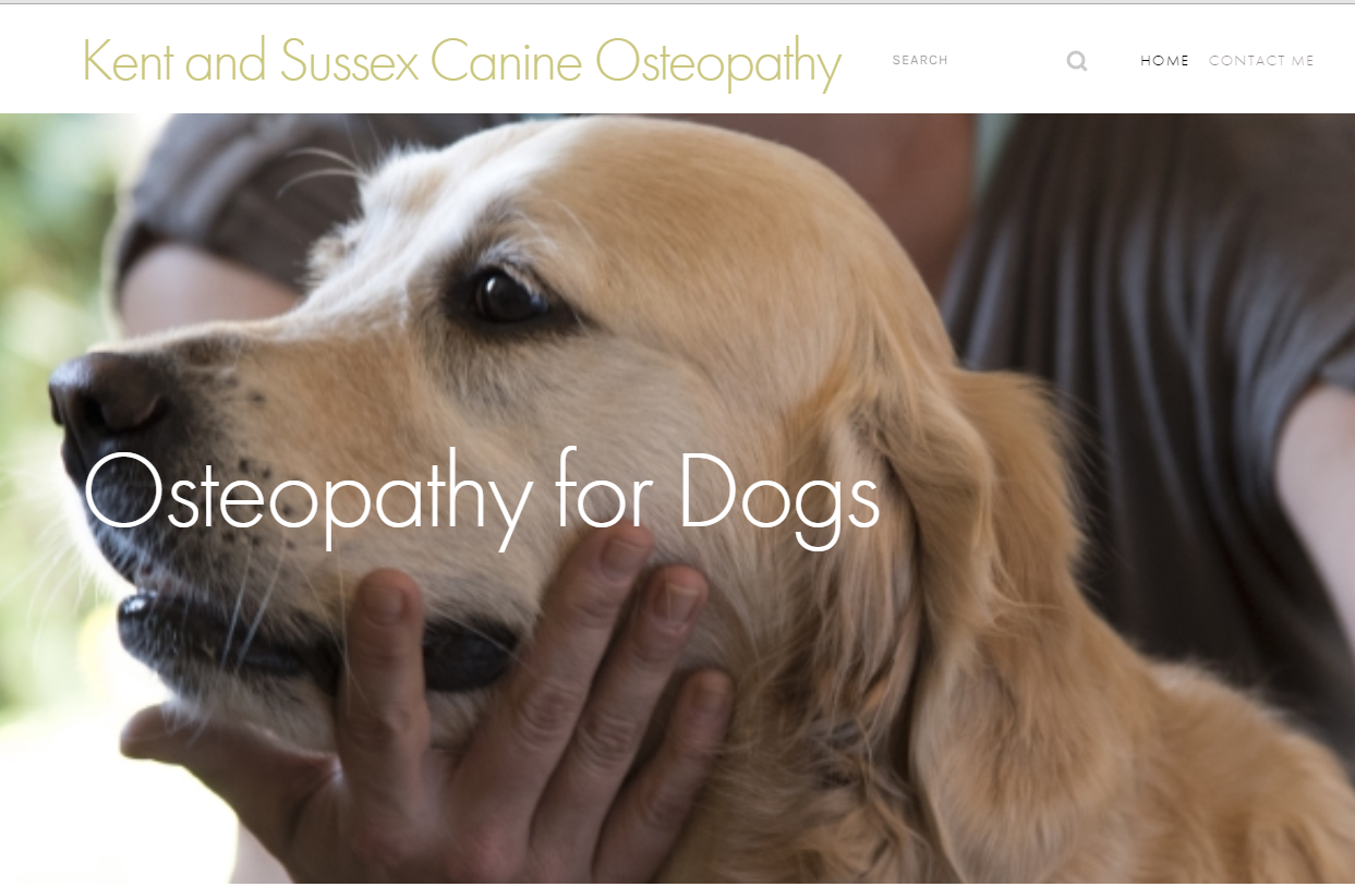 Screenshot Kent and Sussex Osteopathy for dogs.PNG