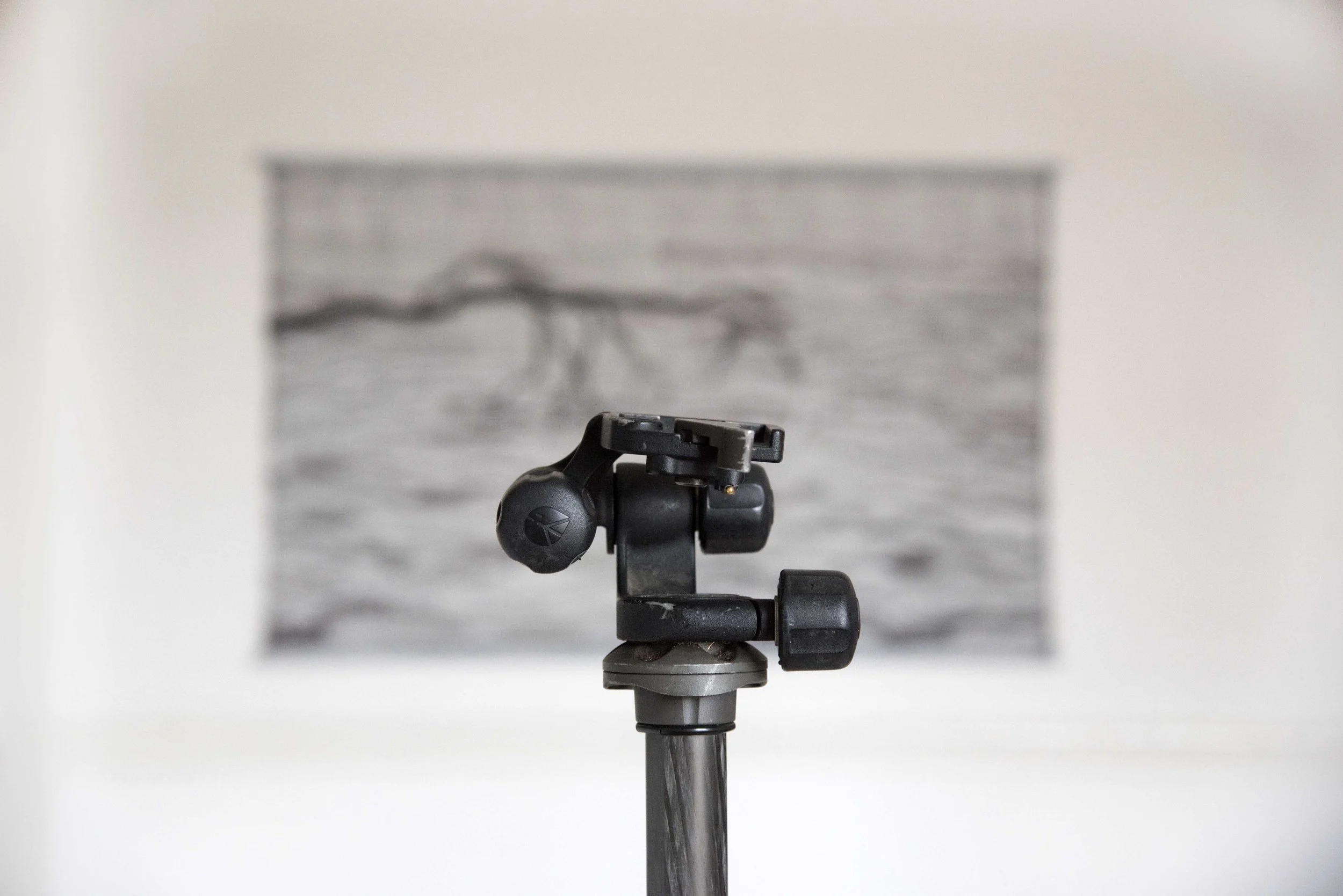 Imagine a camera on top of the tripod