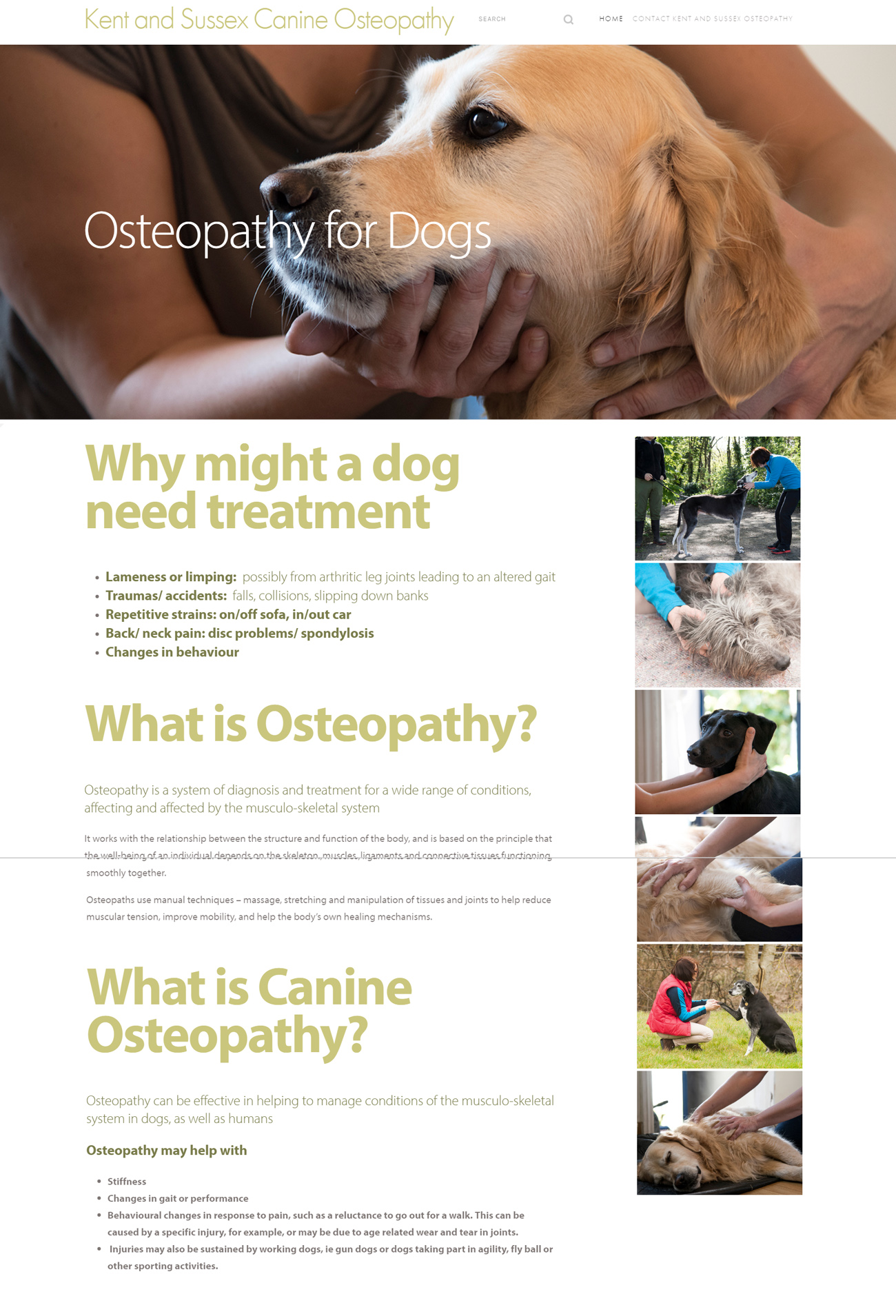 Kent and Sussex Canine Osteopathy Home Page Screenshot.jpg