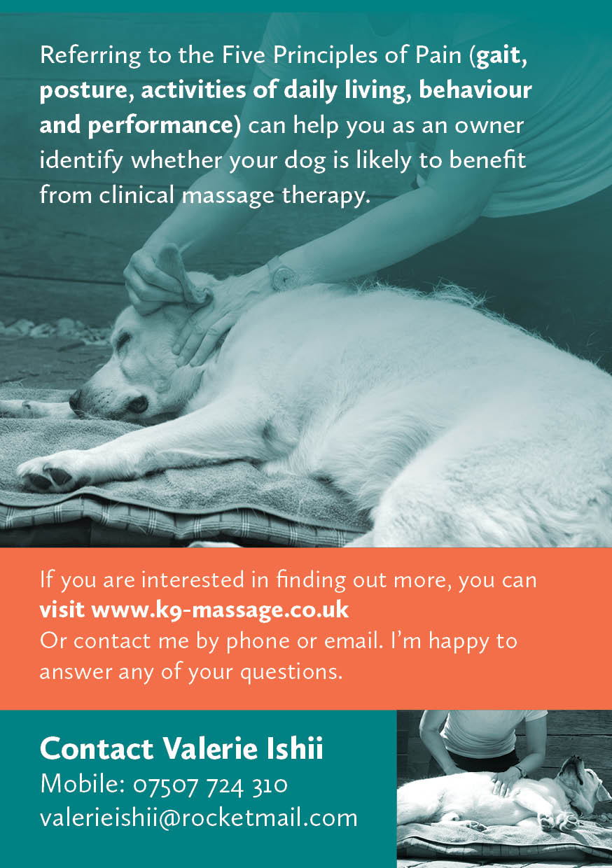 Canine Clinical Massage Leaflet June 2019 Printer's2.jpg