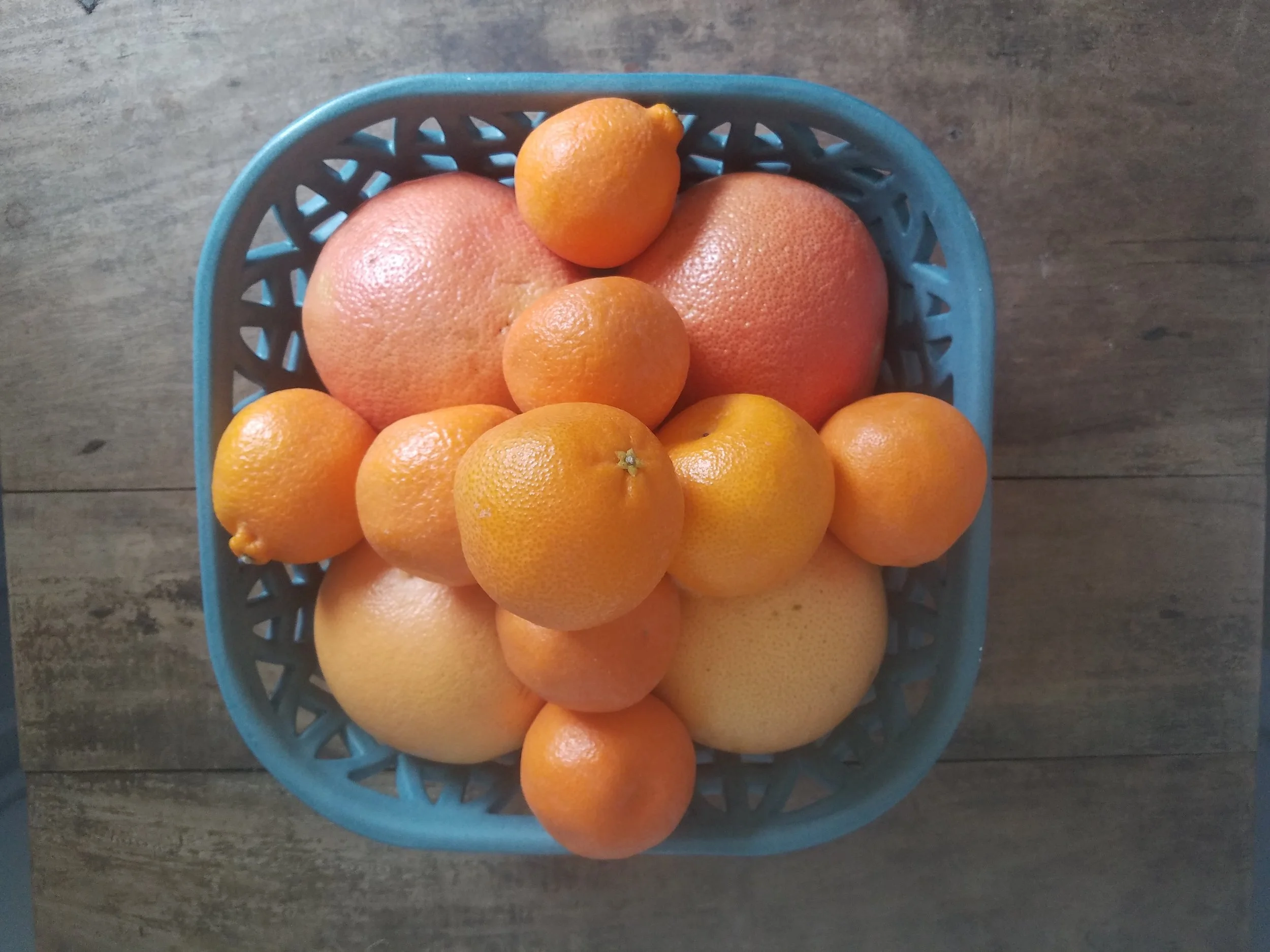 20190814_135410.jpg