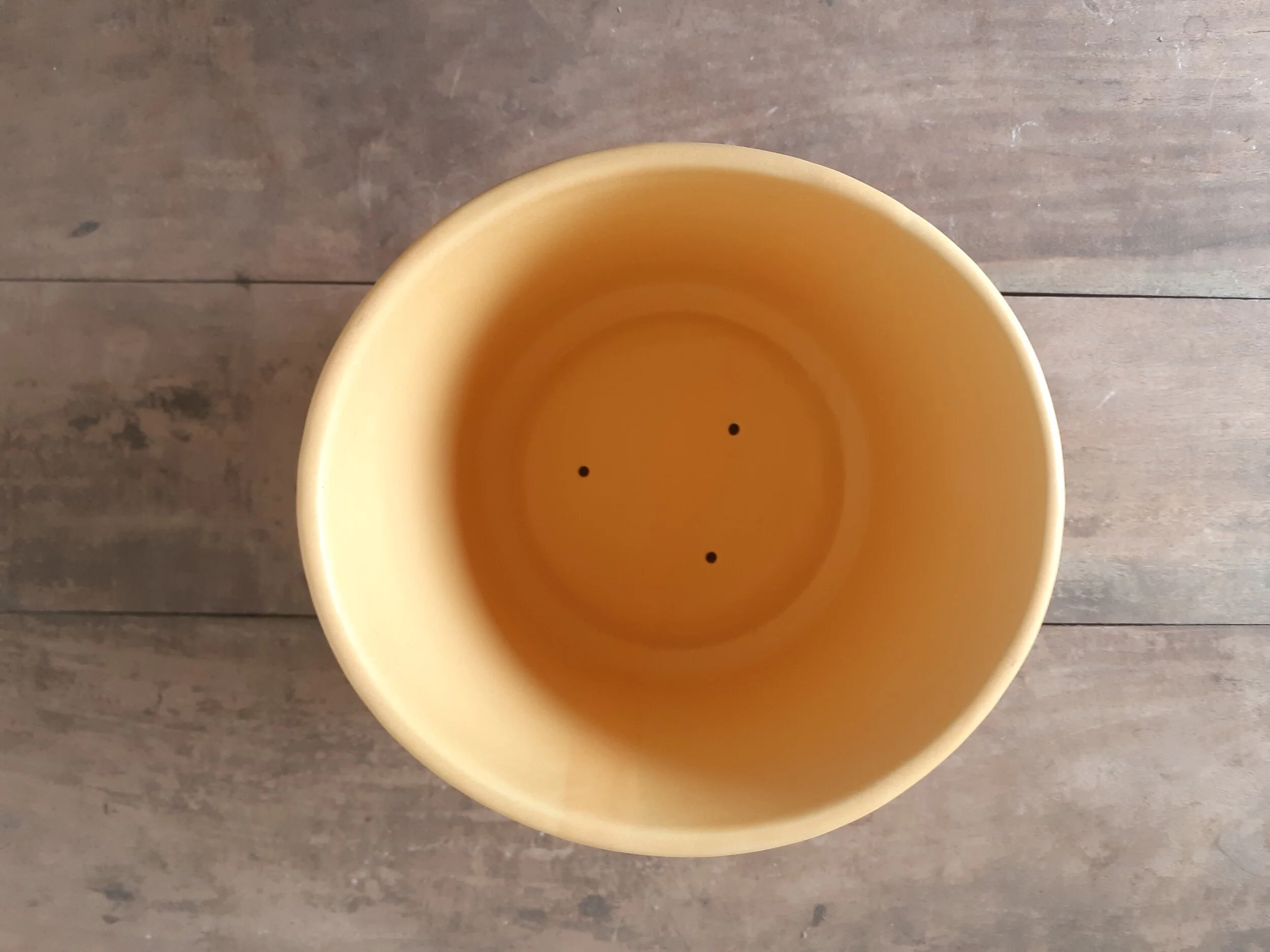 20201007_153851.jpg