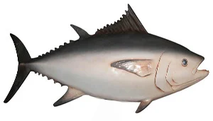 Large Fish 2 Approx - 55cm x 11cm x 19cm Large fish for Under the Sea theme. Normally displayed on black rod stand, provided