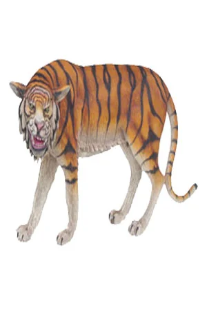 Life size 3D Tiger