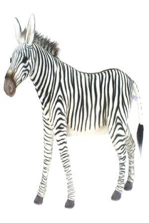 Life sized 3D Zebra