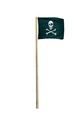 Lots of poles and Jolly Roger Flags
