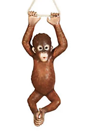 Life sized 3D Orangutan (baby)